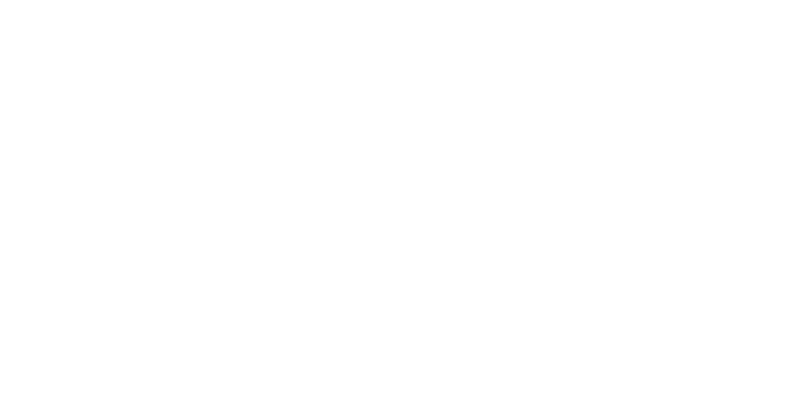 Car Sales Business