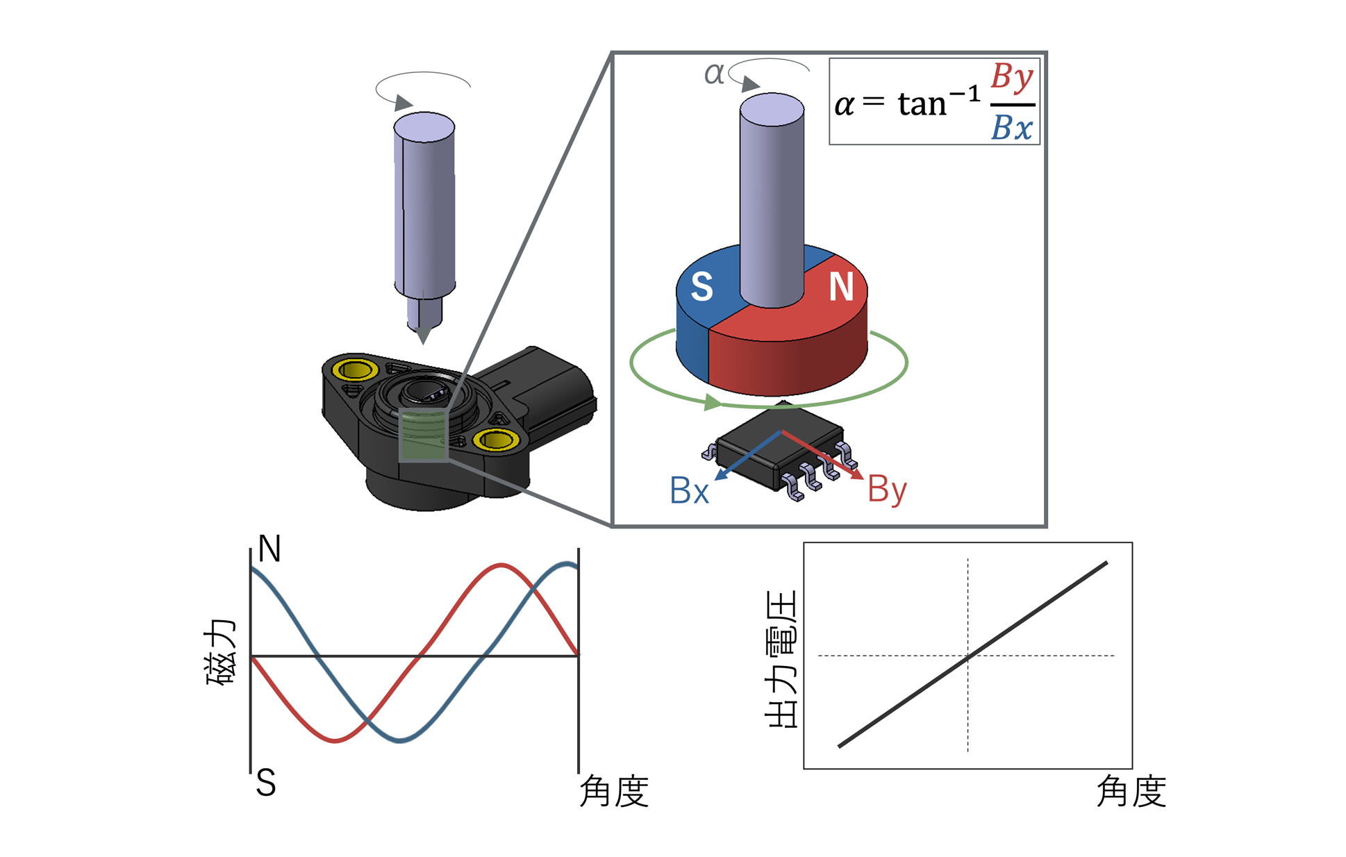 角度位置に応じてホールICが検知する磁束密度が変化し、IC内部で電気信号に変換し出力します。